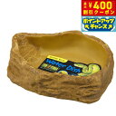 【400円OFFクーポン!&店内ポイント最大39倍!本日限定!】エキゾテラ ウォーターディッシュ L PT2803