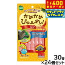 【400円OFFクーポン!&店内ポイント最大39倍!本日限定!】マルカン かめかめぴゅーれ えび 5g×6本入×24個セット