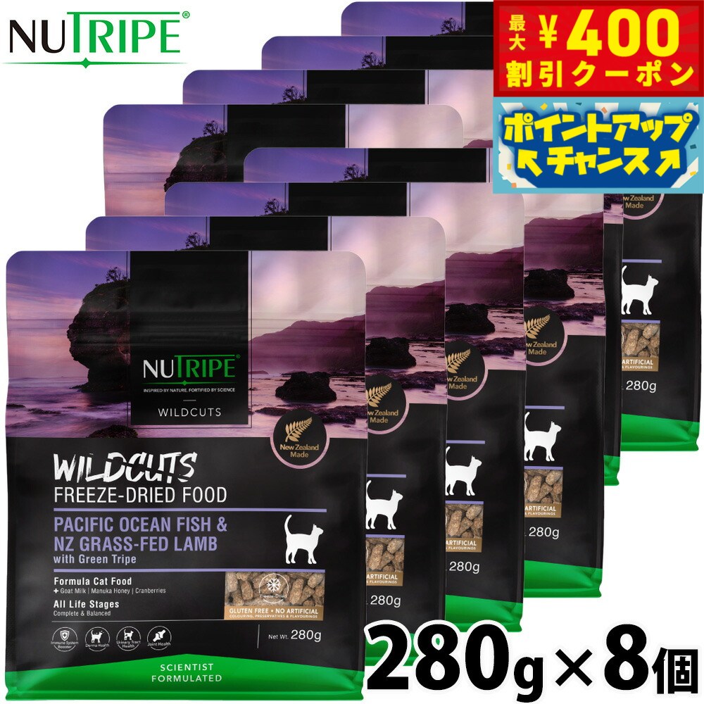 【400円OFFクーポン!&店内ポイント最大42...の商品画像