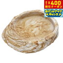 【400円OFFクーポン!&店内ポイント最大39倍!本日限定!】スドー レプティボウル2 MF