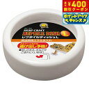 【400円OFFクーポン!&店内ポイント最大39倍!本日限定!】スドー レプタイルディッシュ L