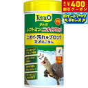 【400円OFFクーポン!&店内ポイント最大39倍!本日限定!】テトラ レプトミン ニオイブロック 中粒 75g