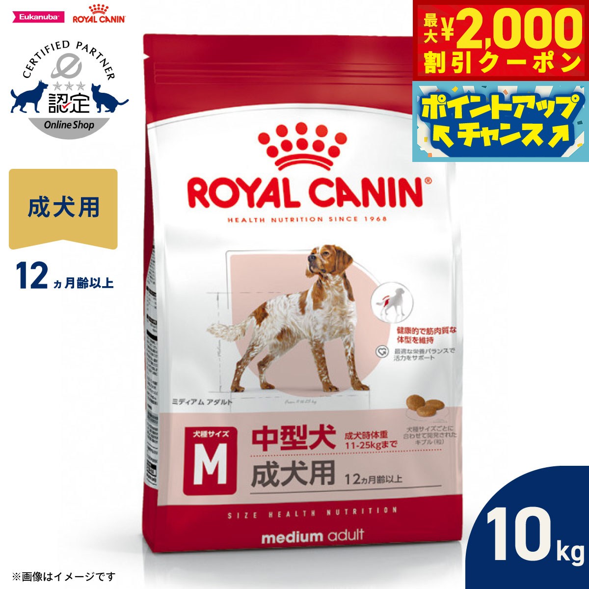 【最大2000円OFFクーポン！＆店内ポイント最大56倍！本日限定！】ロイヤルカナン 犬 ドッグフード サイズヘルスニュートリション ミディアム アダルト 10kg 正規品 中型犬専用フード 成犬用