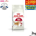 【2000円OFFクーポン!&店内ポイント最大59倍!本日限定!】ロイヤルカナン 猫 キャットフード フィット 2kg 正規品 猫用品/ねこグッズ/ペットグッズ...