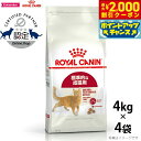 【2000円OFFクーポン!&店内ポイント最大58倍!本日限定!】ロイヤルカナン 猫 キャットフード フィット 4kg×4個 正規品 猫用品/ねこグッズ/ペット...