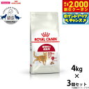 【2000円OFFクーポン!&店内ポイント最大59倍!本日限定!】ロイヤルカナン 猫 キャットフード フィット 4kg×3個 正規品 猫用品/ねこグッズ/ペット...