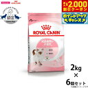 【2000円OFFクーポン!&店内ポイント最大58倍!本日限定!】ロイヤルカナン 猫 キャットフード キトン 2kg×6個 正規品 猫用品/ねこグッズ/ペット ...