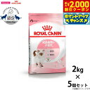 【2000円OFFクーポン!&店内ポイント最大59倍!本日限定!】ロイヤルカナン 猫 キャットフード キトン 2kg×5個 正規品 猫用品/ねこグッズ/ペット ...