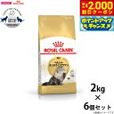 【2000円OFFクーポン!&店内ポイント最大58倍!本日限定!】ロイヤルカナン 猫 キャットフード ペルシャ チンチラ ヒマラヤン成猫用 2kg×6個 正規品...