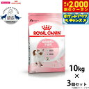 【2000円OFFクーポン!&店内ポイント最大57倍!本日限定!】ロイヤルカナン 猫 キャットフード キトン 10kg×3個 正規品 猫用品/ねこグッズ/ペット...