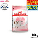 【2000円OFFクーポン!&店内ポイント最大58倍!本日限定!】ロイヤルカナン 猫 キャットフード キトン 10kg 正規品 猫用品/ねこグッズ/ペットグッズ...
