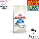 【2000円OFFクーポン!&店内ポイント最大58倍!本日限定!】ロイヤルカナン 猫 キャットフード インドア 4kg×4個 正規品 猫用品/ねこグッズ/ペット...