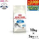 【2000円OFFクーポン!&店内ポイント最大57倍!本日限定!】ロイヤルカナン 猫 キャットフード インドア 10kg×5個 正規品/猫用品/ねこグッズ/ペッ...