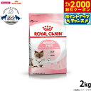 【2000円OFFクーポン!&店内ポイント最大58倍!本日限定!】ロイヤルカナン 猫 キャットフード マザー&ベビーキャット 2kg 正規品 猫用品/ねこグッズ...