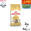 【2000円OFFクーポン!&店内ポイント最大59倍!本日限定!】ロイヤルカナン 猫 キャットフード メインクーン 成猫用 2kg×6個 正規品/猫用品/ねこグ...