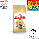 【2000円OFFクーポン!&店内ポイント最大59倍!本日限定!】ロイヤルカナン 猫 キャットフード メインクーン 成猫用 2kg×5個 正規品/猫用品/ねこグ...