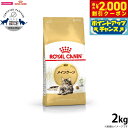 【2000円OFFクーポン!&店内ポイント最大59倍!本日限定!】ロイヤルカナン 猫 キャットフード メインクーン 成猫用 2kg 正規品/猫用品/ねこグッズ/...