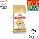 【2000円OFFクーポン!&店内ポイント最大59倍!本日限定!】ロイヤルカナン 猫 キャットフード シャム 成猫用 2kg×6個 正規品/猫用品/ねこグッズ/...