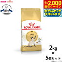 【2000円OFFクーポン!&店内ポイント最大59倍!本日限定!】ロイヤルカナン 猫 キャットフード シャム 成猫用 2kg×5個 正規品/猫用品/ねこグッズ/...