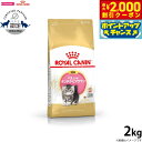【2000円OFFクーポン!&店内ポイント最大59倍!本日限定!】ロイヤルカナン 猫 キャットフード ペルシャ チンチラ ヒマラヤン子猫用 2kg 正規品/猫用...