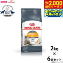 【2000円OFFクーポン!&店内ポイント最大58倍!本日限定!】ロイヤルカナン 猫 キャットフード ヘアー&スキン ケア 2kg×6個 正規品 猫用品/ねこグ...