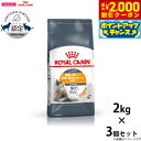 【2000円OFFクーポン!&店内ポイント最大59倍!本日限定!】ロイヤルカナン 猫 キャットフード ヘアー&スキン ケア 2kg×3個 正規品 猫用品/ねこグ...
