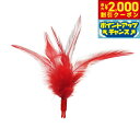 【2000円OFFクーポン!&店内ポイント最大58倍!本日限定!】ファンタジーワールド 猫用おもちゃ ファンタジーレディーバグスペアフェザー ルースターフェザー...