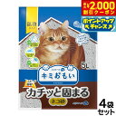【2000円OFFクーポン!&店内ポイント最大58倍!本日限定!】エリエール キミおもい カチッと固まる ネコ砂 5L×4袋【送料無料】