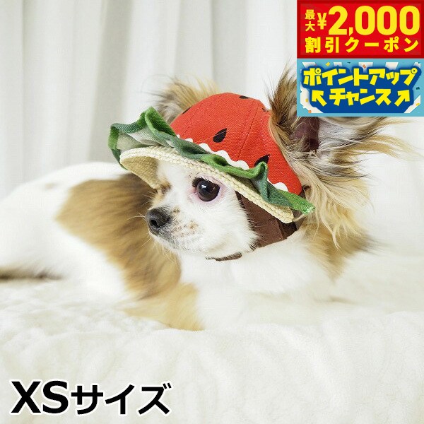 【最大2000円OFFクーポン！＆店内ポイント最大56倍！本日限定！】犬の帽子 ガーデンオブエデン すいかフリルハット XSサイズ