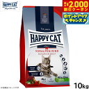 【2000円OFFクーポン!&店内ポイント最大59倍!本日限定!】ハッピーキャット HAPPY CAT キャットフード カリナリー バイエルン ビーフ(大粒) ...