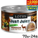 【2000円OFFクーポン!&店内ポイント最大59倍!本日限定!】ロータス キャットフード グレインフリー 無水調理ウェットフード ベニソン シチュー 70g×...