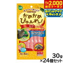 【2000円OFFクーポン!&店内ポイント最大57倍!本日限定!】マルカン かめかめぴゅーれ えび 5g×6本入×24個セット