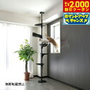 【2000円OFFクーポン!&店内ポイント最大57倍!本日限定!】【レビュー特典あり】OPPO オッポ キャットタワー 突っ張り スリム 省スペース キャットフ...