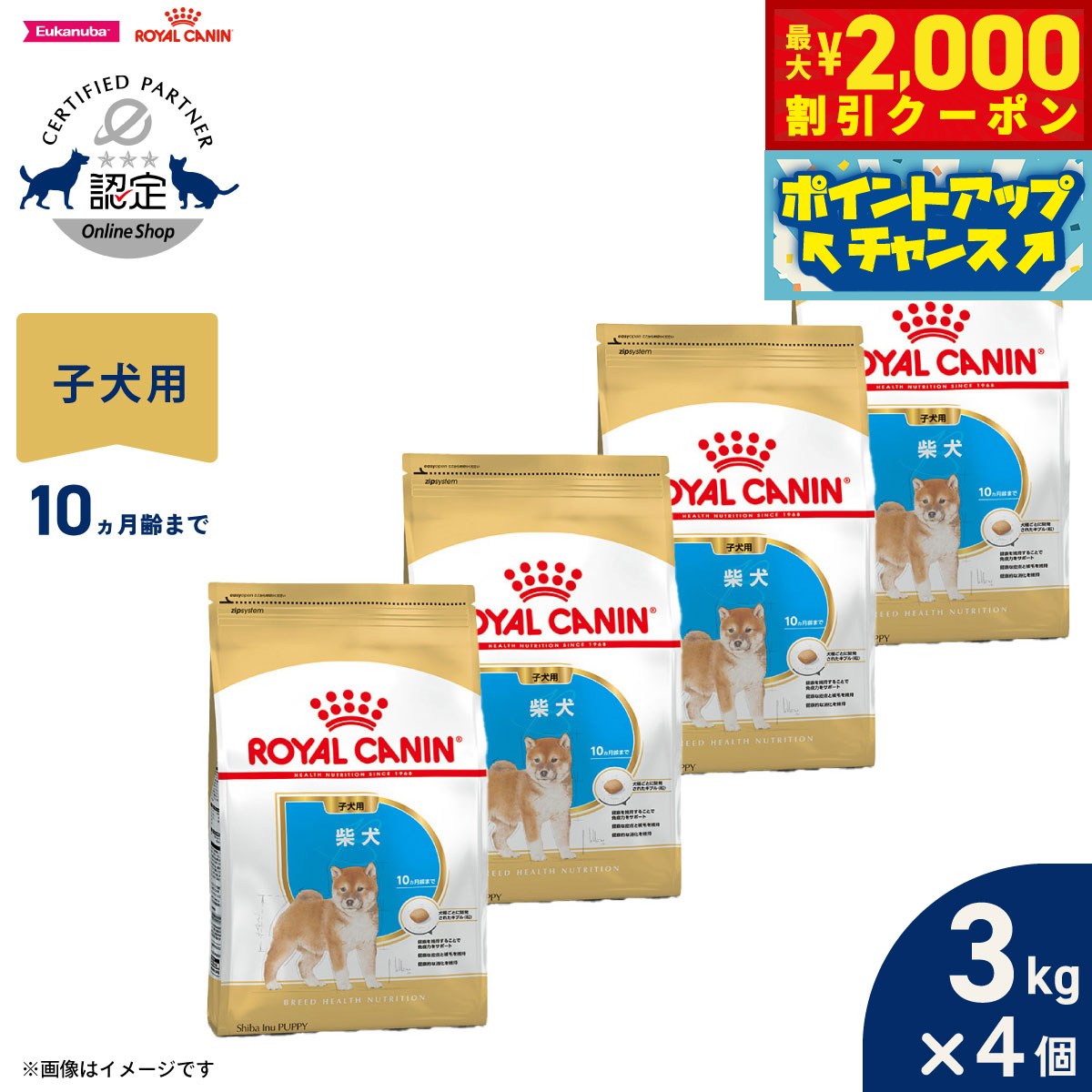楽天市場】ロイヤルカナン 柴犬子犬用 3kgの通販