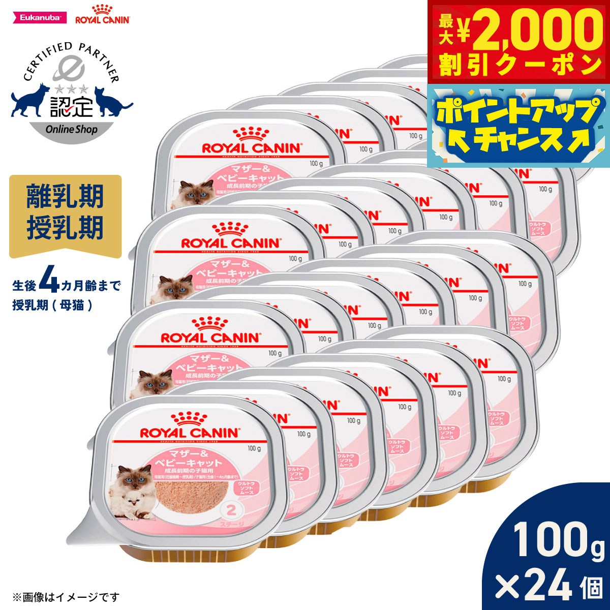 Premium - 【最大2000円OFFクーポン！＆店内ポイント最大54倍！本日限定！】ロイヤルカナン 猫 キャットフード ウェットフード マザー＆ベビーキャット 100g×24個 正規品 離乳期の子猫用フード 離乳期〜生後4カ月齢まで 母猫用 授乳期