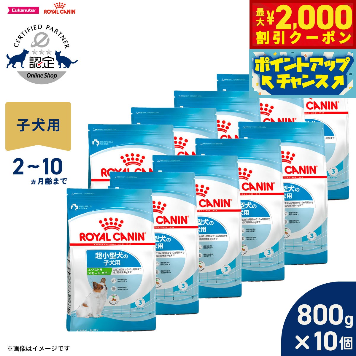 Domestic - 【最大2000円OFFクーポン！＆店内ポイント最大54倍！本日限定！】ロイヤルカナン 犬 ドッグフード サイズヘルスニュートリション エクストラ スモール パピー 800g×10個 正規品 超小型犬専用フード 子犬用