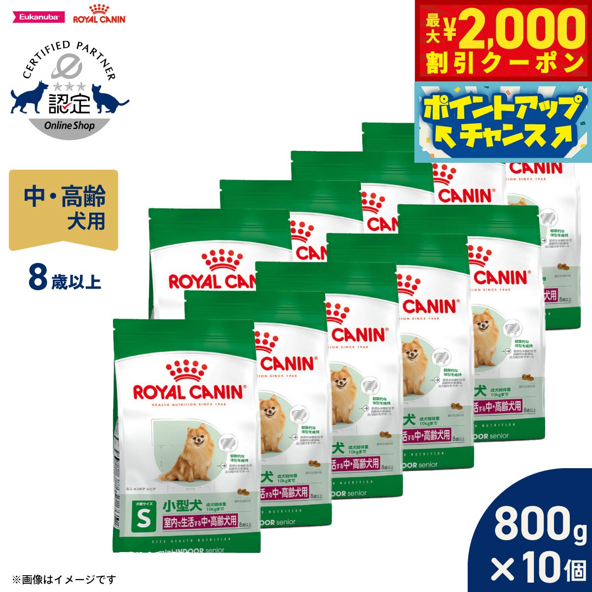 Domestic - 【最大2000円OFFクーポン！＆店内ポイント最大54倍！本日限定！】ロイヤルカナン 犬 ドッグフード ミニ インドア シニア 800g×10個 正規品 室内で生活する小型犬専用 中 高齢犬用