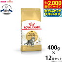 【2000円OFFクーポン!&店内ポイント最大59倍!本日限定!】ロイヤルカナン キャットフード アメリカンショートヘアー 成猫用 400g×12袋 正規品 猫...