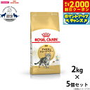 【2000円OFFクーポン!&店内ポイント最大59倍!本日限定!】ロイヤルカナン キャットフード アメリカンショートヘアー 成猫用 2kg×5個 正規品 猫用品...