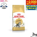 【2000円OFFクーポン!&店内ポイント最大59倍!本日限定!】ロイヤルカナン キャットフード アメリカンショートヘアー 成猫用 2kg 正規品 猫用品/ねこ...
