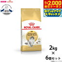 【2000円OFFクーポン!&店内ポイント最大58倍!本日限定!】ロイヤルカナン キャットフード ノルウェージャン フォレストキャット 成猫用 2kg×6個 正...