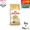 【2000円OFFクーポン!&店内ポイント最大58倍!本日限定!】ロイヤルカナン キャットフード ラグドール 成猫用 2kg×3個 正規品 猫用品/ねこグッズ/...