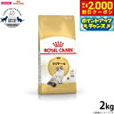 【2000円OFFクーポン!&店内ポイント最大58倍!本日限定!】ロイヤルカナン キャットフード ラグドール 成猫用 2kg 正規品 猫用品/ねこグッズ/ペット...