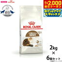 【2000円OFFクーポン!&店内ポイント最大58倍!本日限定!】ロイヤルカナン 猫 キャットフード エイジング 12+ 2kg×6個 正規品 猫用品/ねこグッ...