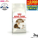 【2000円OFFクーポン!&店内ポイント最大59倍!本日限定!】ロイヤルカナン 猫 キャットフード エイジング 12+ 2kg 正規品 猫用品/ねこグッズ/ペ...