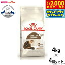 【2000円OFFクーポン!&店内ポイント最大58倍!本日限定!】ロイヤルカナン 猫 キャットフード エイジング 12+ 4kg×4個 正規品 猫用品/ねこグッ...
