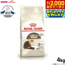 【2000円OFFクーポン!&店内ポイント最大58倍!本日限定!】ロイヤルカナン 猫 キャットフード エイジング 12+ 4kg 正規品 猫用品/ねこグッズ/ペ...