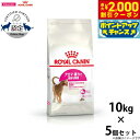 【2000円OFFクーポン!&店内ポイント最大57倍!本日限定!】ロイヤルカナン 猫 キャットフード アロマエクシジェント 10kg×5個 正規品 猫用品/ねこ...