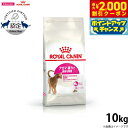 【2000円OFFクーポン!&店内ポイント最大59倍!本日限定!】ロイヤルカナン 猫 キャットフード アロマエクシジェント 10kg 正規品 猫用品/ねこグッズ...