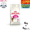 【2000円OFFクーポン!&店内ポイント最大58倍!本日限定!】ロイヤルカナン キャットフード フィーライン ヘルス ニュートリション アロマ エクシジェント...